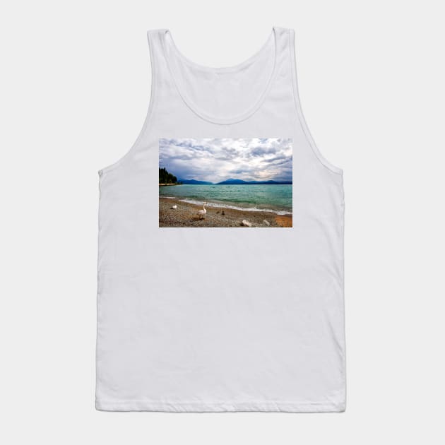 Swan's view of Lake Garda Tank Top by Violaman